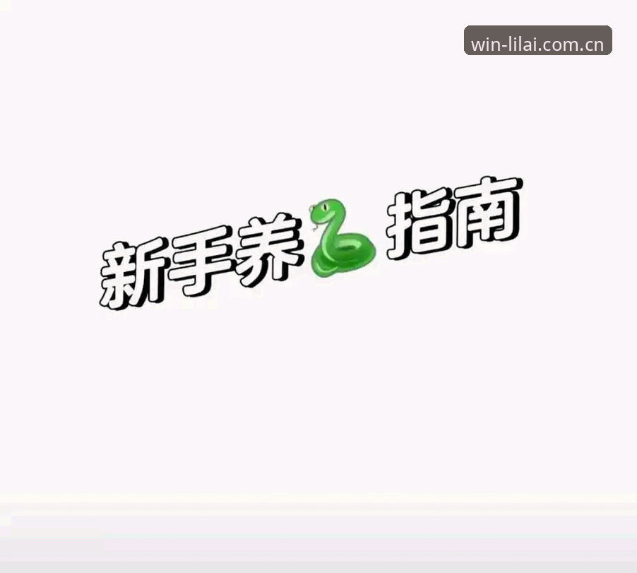利来APP最新版本哪个好 3个关键指标帮你判断利来APP最新版本哪个好——新手必备选择指南